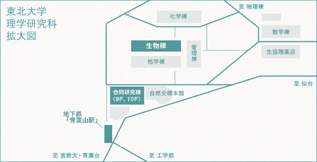 東北大学理学研究科拡大図