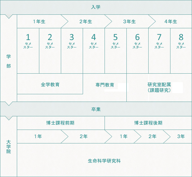 入学してらか卒業まで